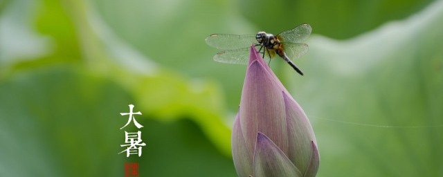 大暑如何吃祛湿气 大暑节气吃什么去湿气