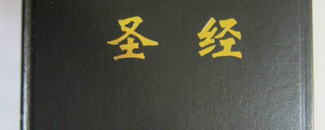 圣经说别惊动我爱的人原文是什么 圣经说别惊动我爱的人是什么