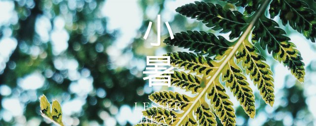 小暑时节应该怎么养生 怎么在小暑时节养生