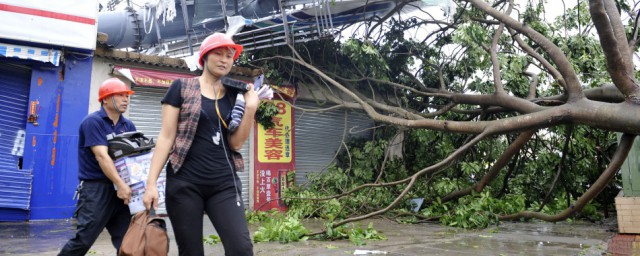 台风天兔是哪一年哪月 关于台风天兔的简介