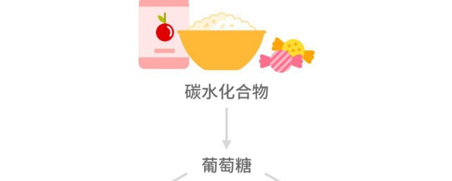 人体热能最主要的来源是什么 人体热能最主要的来源介绍