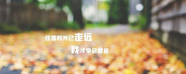 2023下半年第一天说说大全 关于2023下半年第一天说说
