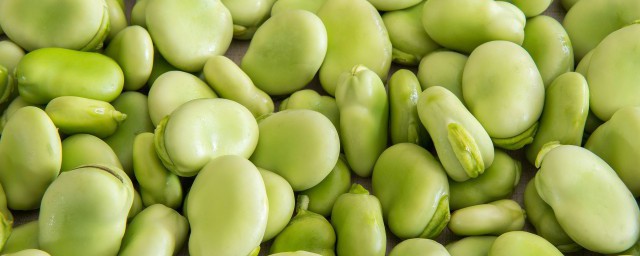 干蚕豆的做法大全 干蚕豆的烹饪方法
