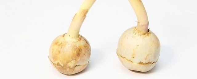 清炒慈菇的做法 怎么做清炒慈菇