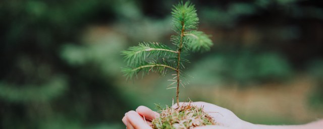 关于珍爱生命资料 关于珍爱生命的相关知识