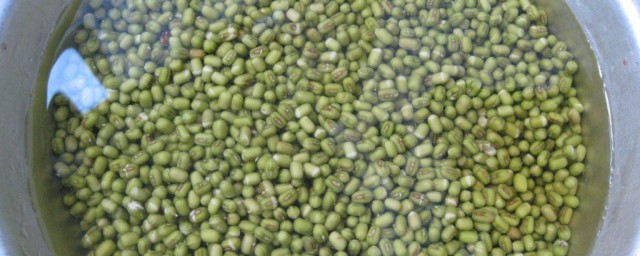 绿豆凉粉的制作方法窍门 绿豆凉粉的做法