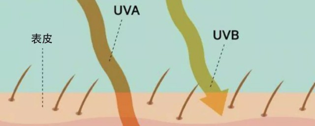 防晒主要是防uva还是uvb 防晒作用