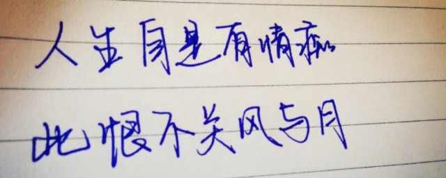 人间自是有情痴此情不关风与月是什么意思 人间自是有情痴此情不关风与月翻译