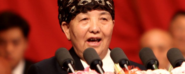 王兰花个人简介 关于王兰花的简介