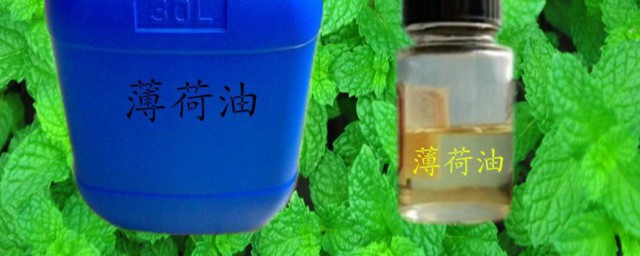 薄荷油哪里买 哪里买薄荷油