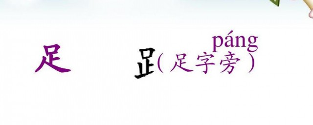 足字旁有哪些字 足字旁的字简介