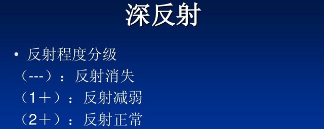 深浅反射的临床道理 深浅反射有何道理