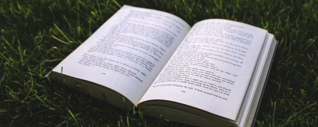 我心中的英雄作文怎么写 我心中的英雄作文400字