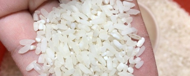 大米生虫子了还能吃吗 大米生虫子了还能不能吃