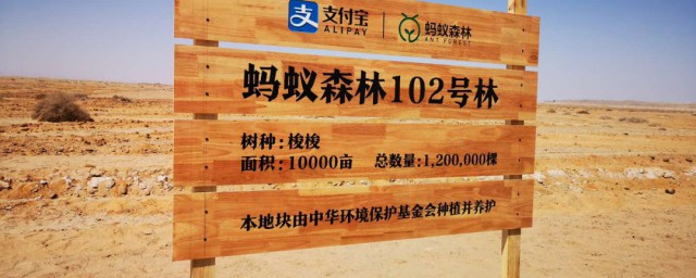 蚂蚁森林如何快速种树 怎么在支付宝蚂蚁森林快速种树