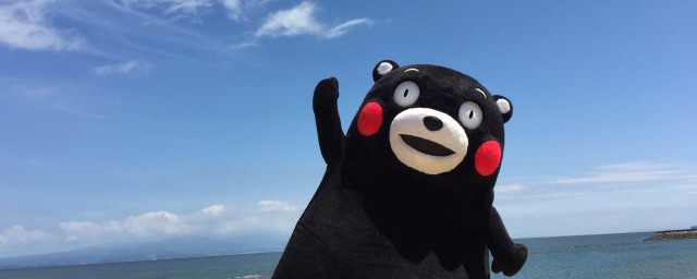 日本熊玩偶叫什么 日本熊玩偶叫什么名字