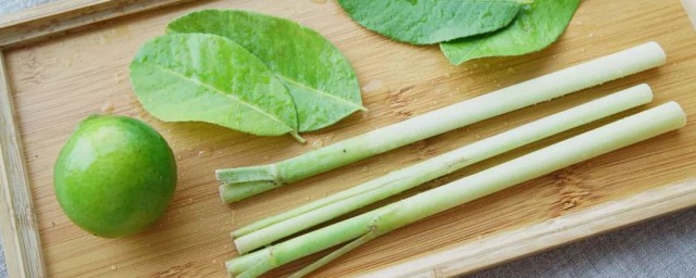 香茅是什么味道 香茅是什么植物