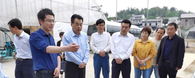 莅临怎么读啥意思 莅临的正确读法和意思