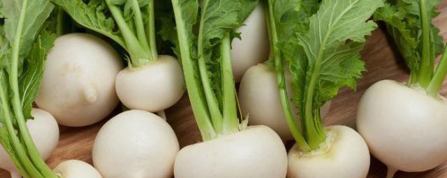 农村的蔓菁叫什么 农村的蔓菁别称