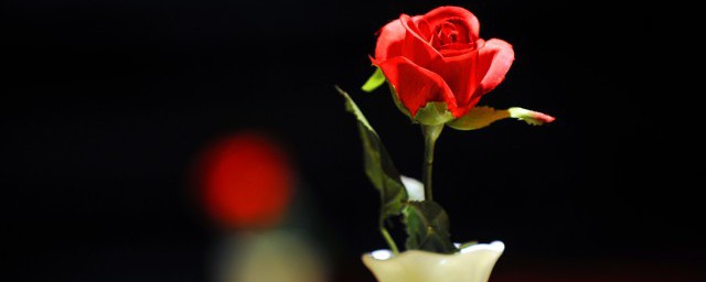 捧花怎么保存久一点 捧花如何保存久一点