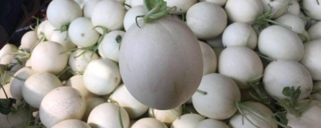 玉菇瓜如何判断成熟 玉菇瓜判断成熟的办法