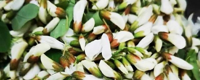 槐花怎么冷冻储藏 槐花的冷冻储藏方法