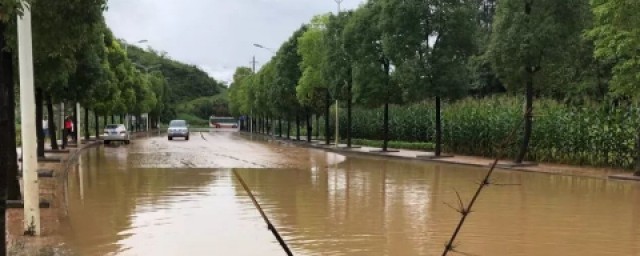 大雨预警有几个级别 暴雨天气应该注意哪些事情