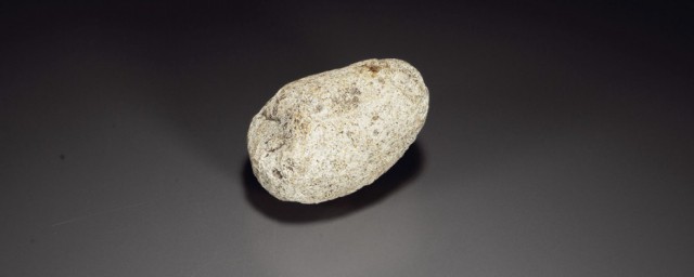 古代龙涎香是什么东西 龙涎香的本质是什么