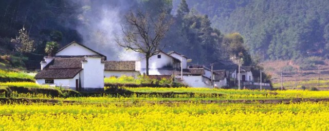 如何建设美丽乡村 建设美丽乡村方法