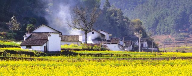 怎样建设美丽乡村 建设美丽乡村要领