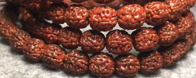 小金刚盘黑了补救要领 小金刚盘黑了怎么补救