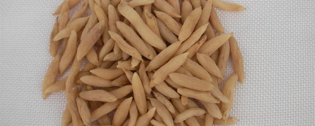 麦冬孕妇能吃吗 麦冬孕妇可以吃吗