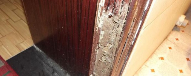 怎样防白蚁入屋 防白蚁入屋的办法