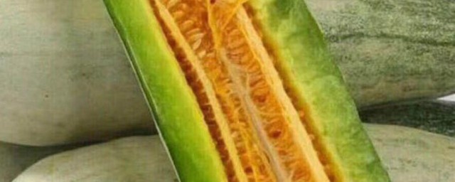 羊角蜜的籽为什么是苦的 羊角蜜的籽是苦的原因