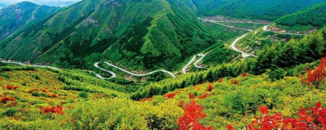 六盘山在哪里在什么省 六盘山的简介