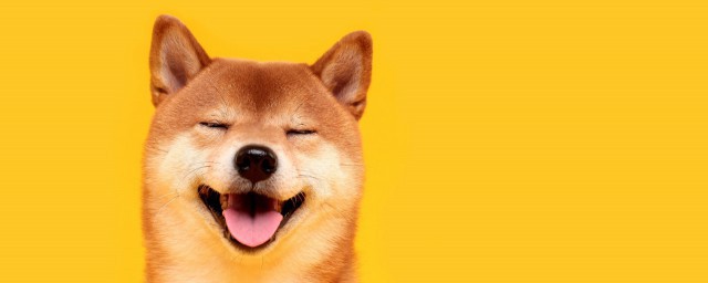 笑话句子 笑话句子精选