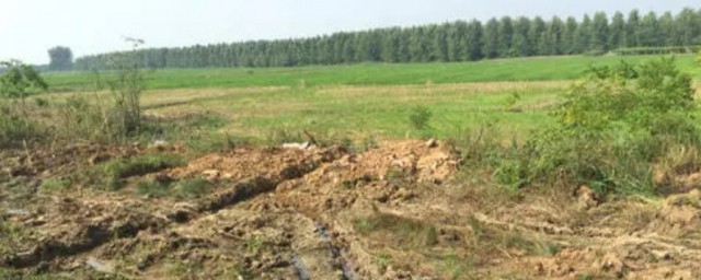 水来土掩兵来将挡是什么意思 水来土掩兵来将挡解释