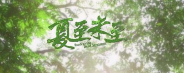 夏至未至片头曲谁唱的 夏至未至片头曲歌词展示