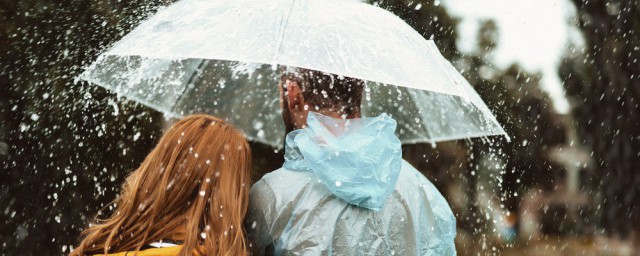 雨歌词 雨歌曲介绍