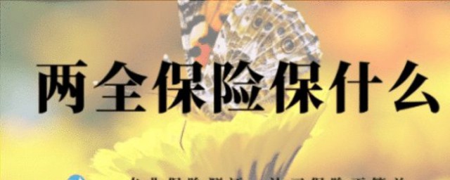 两全保险什么意思 两全保险的意思介绍