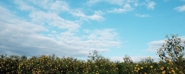 天空歌词 天空的歌曲简介