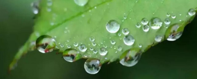 雨露之恩意思 雨露之恩简单释义