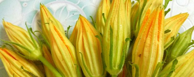 吃南瓜花有什么忌讳 吃南瓜花有哪些忌讳