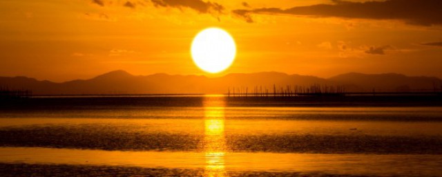 几度夕阳红小说简介 关于几度夕阳红小说简介