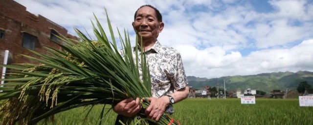 纪念袁隆平作文 袁老的流金岁月