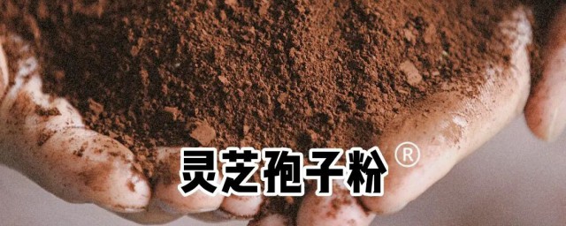 什么样的人不能吃灵芝孢子粉 灵芝孢子粉的忌讳人群是什么