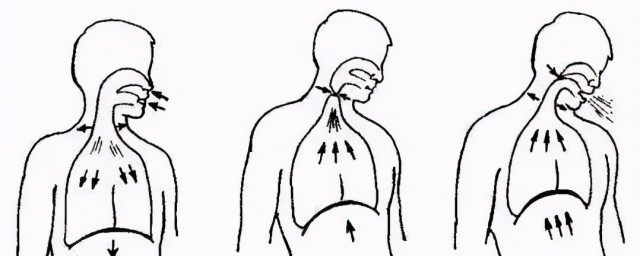 初学者怎样学腹部发音 初学者怎样学腹部发音