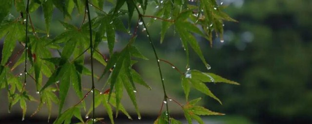 苏州梅雨季节是几月份 苏州梅雨季节是多少月份