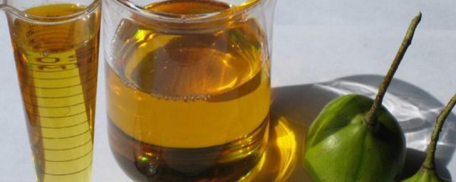 桐油的用途 桐油的用途简单介绍