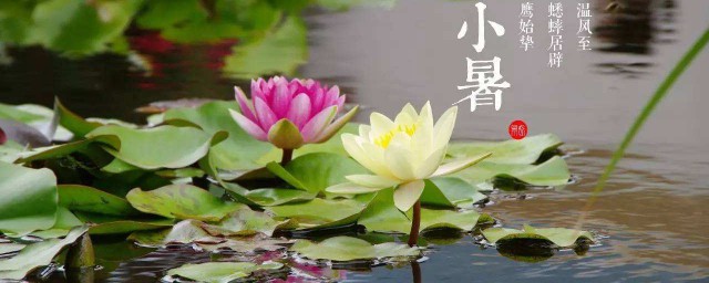 2021小暑吃什么传统食物 小暑吃的传统食物有哪些